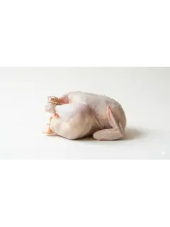 poulet de chair 1,7 à 1,8 kg