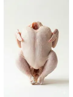 Poulet de chair